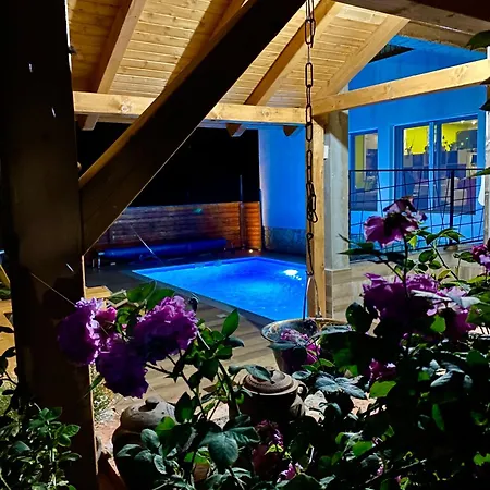 Gust * זלאטיבור