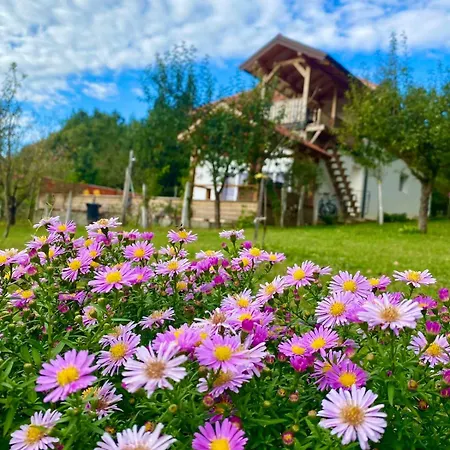 Gust * זלאטיבור